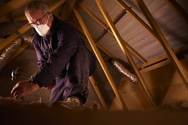 Best Types of Insulation in Homer, IL